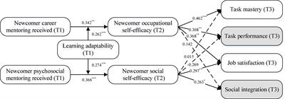 Exploring the differential effects of career and psychosocial mentoring on newcomer socialization